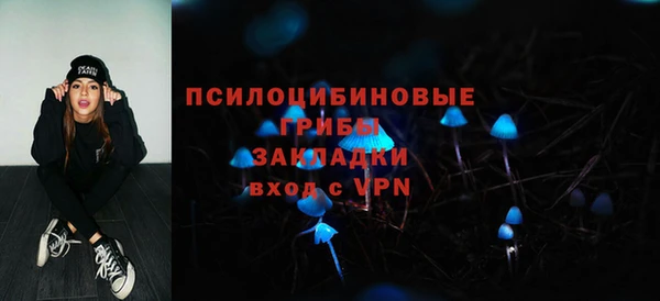 СК Михайловка