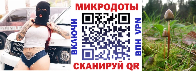 Псилоцибиновые грибы мухоморы  магазин продажи наркотиков  Шадринск 