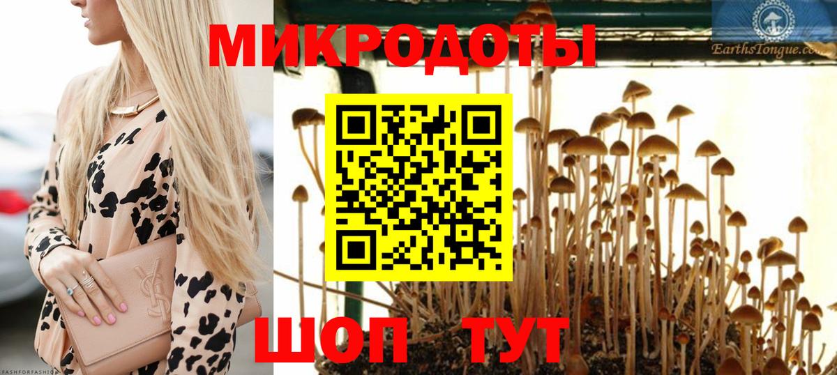где можно купить   Вход с VPN  Псилоцибиновые грибы Psilocybine cubensis  Шадринск  Псилоцибиновые грибы Psilocybine cubensis 